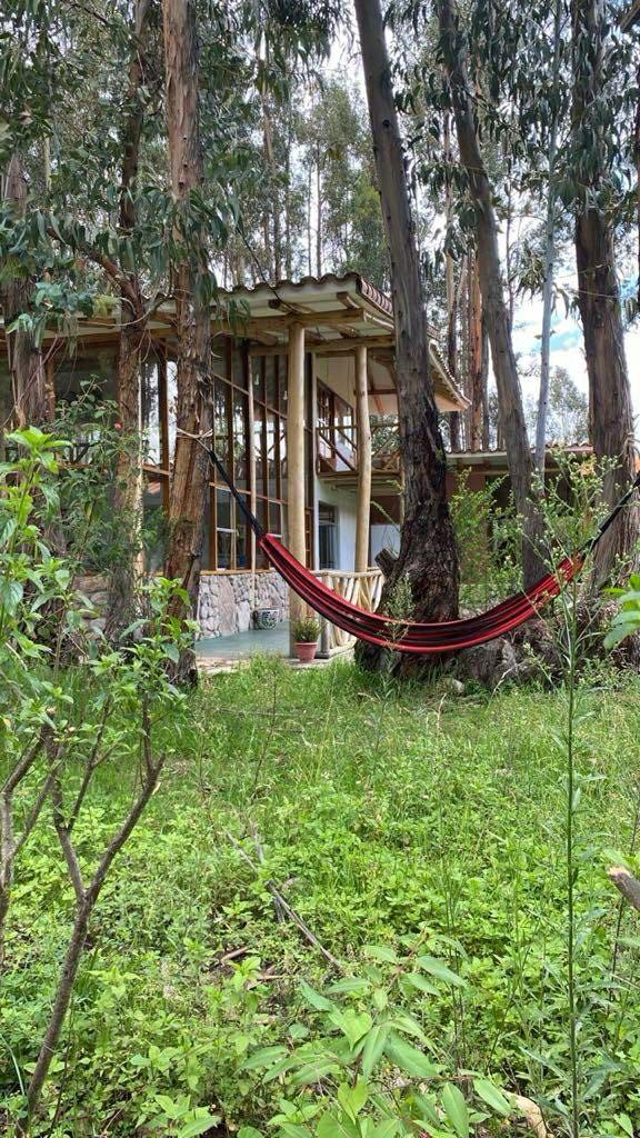 Hammock and retreat buildings among eucalyptus trees